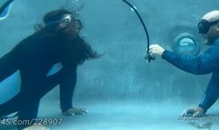 Bound For Pleasure From Behind