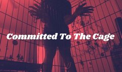 Committed To The Cage
