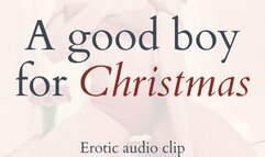 A Good Boy for Christmas