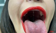 TEST MY BACTERIA - CLIP 2 FULL HD - KC 2024!!!