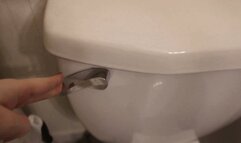 M - BROKEN TOILET - wont flush