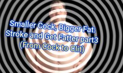 Smaller Cock, Bigger Fat: Stroke and Get Fatter part2 (From Cock to Clit)