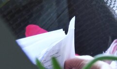 Pink Socks Summer memories