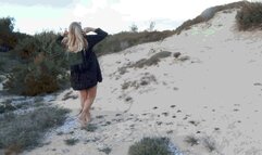 Sliding on the sand 2 AVI (1920x1080) FHD