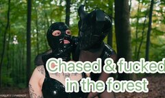 Chased & fucked in the forest