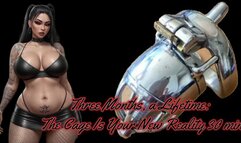 Three Months, a Lifetime: The Cage Is Your New Reality 30 min