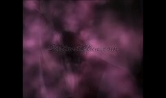 Vanessa - Remastered - MP4 4K UHD