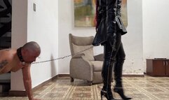 BQ BootsQueen Sweet and Harsh Domination with Switch Ariadny and slave g