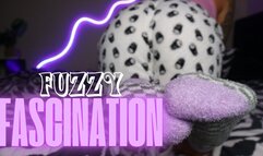 Fuzzy Fascination