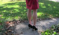 Pink Fox, the following