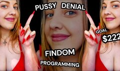 Pussy Denial Findom Programming - Goal $222 - The Goddess Of Destruction