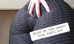 Sniff My Sweaty Gym Yoga Pants Ass