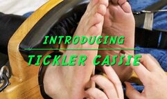 Introducing Tickler Cassie