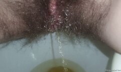 Hotel Pees Part 4 HD