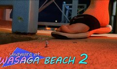 Unaware At Wasaga Beach 2 - HD 1080p Version