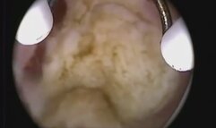 A new trip through my vagina!!!!!! Can you escape?