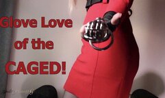 Glove Love of the CAGED