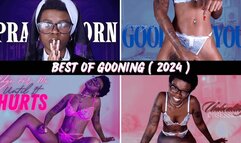 Best Of Gooning ( 2024 )