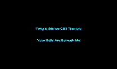 Your Balls Are Beneath Me 2