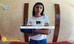 Samy karate casual lesson striking with hands and feet