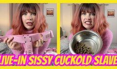 Live-In Sissy Cuckold Slave