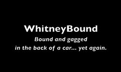 Car Bound and Gagged!