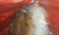 Sloane:Coffee In My Stomach