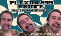 Plexiglass Prince Sultry Dionysus - Dental Spreader