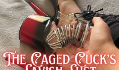 The Caged Cuck’s Lavish Lust