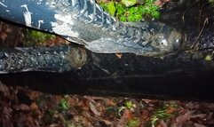 Leathana's Hunter Lapins Forest Adventure