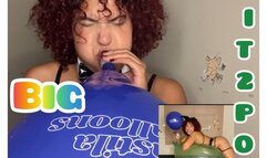 A bunny playing with very large balloons