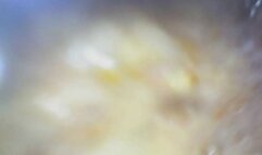 Carolyn: Digesting McDonald Meal