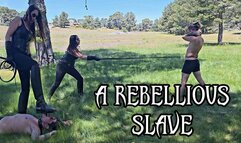 A REBELLIOUS SLAVE