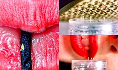 From Sandals to Saliva: A Tiny Guys' Epic Journey