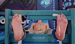 Skyler Ray's 1st Tickle Session