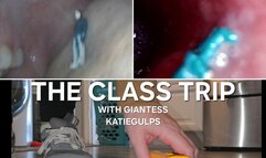 KatieGulps: The Class Trip