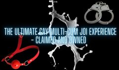 The NLP toolbox: The Ultimate Gay Multi-Cum JOI Experience - Claimed and Owned (Cumshot 3)