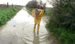 A Walk in Yellow Hunters AVI (1920x1080) FHD