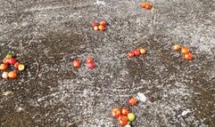 Roxan crushing and trampling small fruits with her high heels (3)