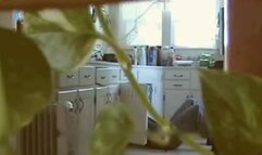 Sexy Housewife Sucks Plumber Filmed By Hidden Cam