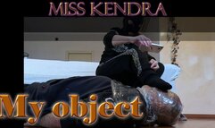 My object (Fixed POV)