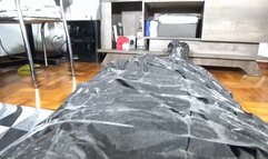 BEAUTIFUL AND HOT PRINCESS LEAVING SLAVE DESPERATE IN FACESITTING BY SCARLET WIND AND DANIEL SANTIAGO CAM BY ALINE FULL HD