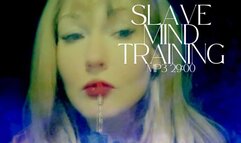 Training The Slave Mind