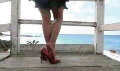 Shoe Hunter 43 WMV (1920x1080) FHD