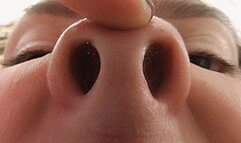 BIG NOSTRILS OF A PIG'S NOSE!