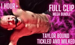 Taylor Bound's Tickle Jerking Initiation To The Chicago Gay Dungeon (FULL MEGA-BUNDLE)