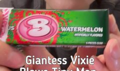 Giantess Vixie Blow Tiny Man into a Bubblegum Bubble