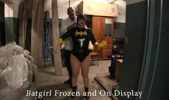 Batgirl gets Frozen solid and on display 2