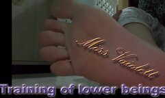 Training of lower beings