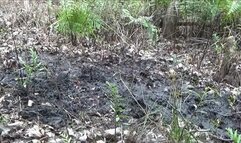 Stuck Boots In Mud 2